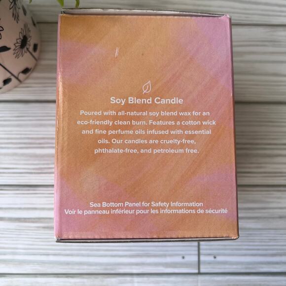 NEW Lasting Smiles Sea Salt & Citrus Aromatherapy Soy-Blend Candle 6.87 oz - Picture 7 of 10